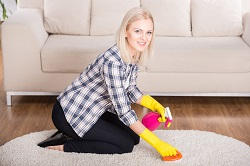 brent steam carpet cleaning nw8