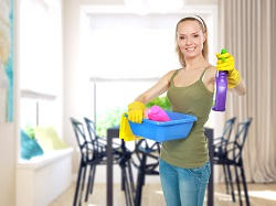 brent household cleaning nw8