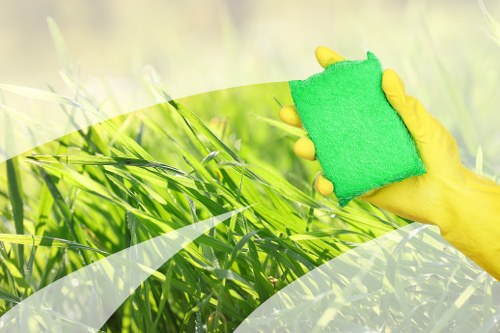 Professional window cleaning improving a home exterior