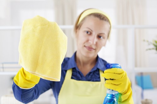 Professional mattress cleaning in progress on a bedroom bed