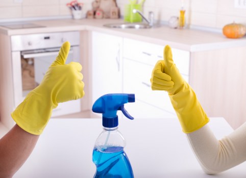 Professional upholstery cleaning of a living room sofa