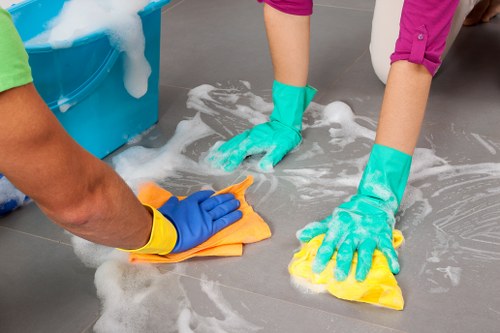 Domestic cleaning supplies arranged for home cleaning
