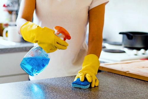 Professional move in cleaning of a bright apartment living room