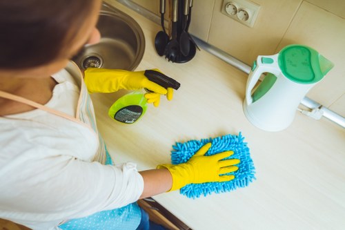 Kitchen deep clean for move out cleaning