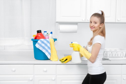 Routine vacuuming and dusting in a Brent apartment