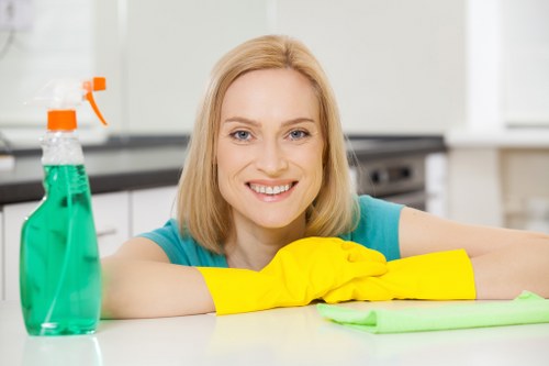 Routine vacuuming and maintenance for a clean area rug