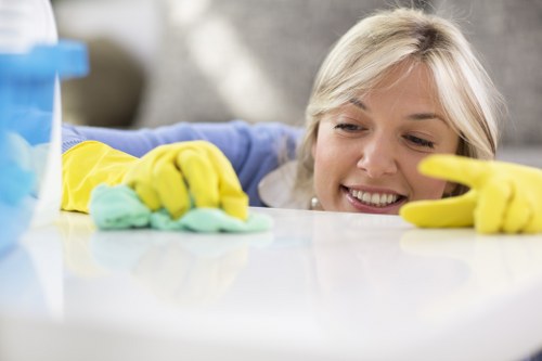 Cleaning supplies arranged for a deep cleaning routine