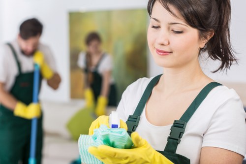 Leather sofa care and maintenance treatment