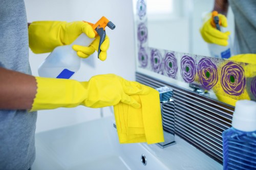 Cleaning supplies arranged for a regular cleaning routine