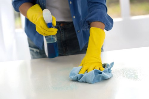 Steam carpet cleaning process in a home interior