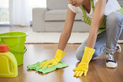 Oven racks and interior surfaces during cleaning